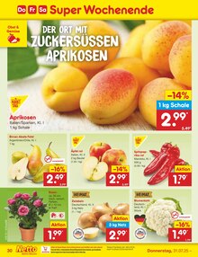 Blumen im Netto Marken-Discount Prospekt "Aktuelle Angebote" mit 65 Seiten (Düsseldorf)