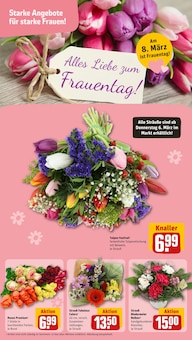 Blumen im REWE Prospekt "Dein Markt" mit 30 Seiten (Rostock)