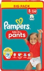 Big Pack Baby-Dry Pants oder Windeln Angebote von Pampers bei Rossmann Eberswalde