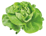 Kopfsalat im Angebot bei REWE in Köln Kopfsalat Angebote bei REWE Köln für 0,99 €