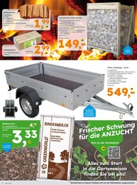 Briketts Angebot im aktuellen Globus-Baumarkt Prospekt auf Seite 4