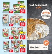 Wild im Marktkauf Prospekt in Schorndorf Aktueller Marktkauf Prospekt mit Wild, "Aktuelle Angebote", Seite 15
