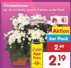 Aktuelle Pflanzen Angebote bei Netto Marken-Discount in Krefeld Aktuelles Chrysanthemen Angebot bei Netto Marken-Discount in Krefeld ab 2,19 €