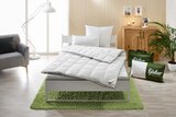 Aktuelle Bettdecke Angebote bei Lidl in Offenbach (Main) Aktuelles 4-Jahreszeiten-Daunendecke Angebot bei Lidl in Offenbach (Main) ab 109,00 €