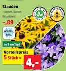 Stauden Angebote bei Thomas Philipps Ahaus für 0,89 €
