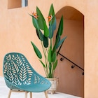 Promo Oiseau du paradis artificiel 150 à 39,99 € dans le catalogue B&M ""