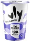 No Milk Today Joghurt-Alternative Vanille von VLY im aktuellen Kaufland Prospekt für 1,49 €