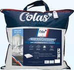 Oreiller Rafraîchissant Moelleux - Colas Normand - Intermarché Super à Clermont-Ferrand Oreiller Rafraîchissant Moelleux - Colas Normand en promo chez Intermarché Super Clermont-Ferrand à 6,99 €