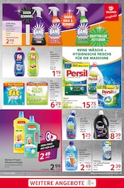 Aktueller Selgros Prospekt mit Waschmittel, "cash & carry", Seite 19