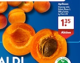 ALDI SÜD Niederzier - Aprikosen Angebot im Prospekt Aprikosen bei ALDI SÜD im Niederzier Prospekt für 1,35 €