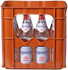 Mineralwasser Angebote von Aquintus bei REWE Wesel für 3,99 €