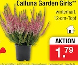 Angebot im Zimmermann Celle Prospekt Zimmermann Celle Prospekt mit im Angebot fĂŒr 1,79 âŹ
