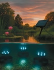 LED-Solar-Gartenteich Strahler-Set im Angebot bei Netto mit dem Scottie in Kiel LED-Solar-Gartenteich Strahler-Set Angebote bei Netto mit dem Scottie Kiel für 19,99 €