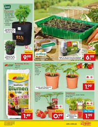 Netto Marken-Discount Pflanzerde im Prospekt 