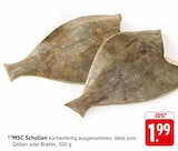 MSC Schollen im Angebot bei EDEKA in Friedrichshafen MSC Schollen Angebote bei EDEKA Friedrichshafen für 1,99 €
