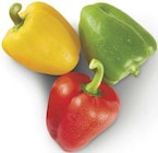 Paprika Mix Angebote bei combi Bremen für 1,77 €