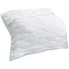 Aktuelle Kopfkissen Angebote bei POCO in Stuttgart Aktuelles Wellness Steppbett Hygiene Angebot bei POCO in Stuttgart ab 19,99 €