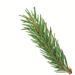 Breath of Paradise Côtes de Provence AOP, Roséwein, trocken