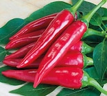 Aktuelle Paprika Angebote bei OBI in Erfurt Aktuelles Paprikapflanzen Angebot bei OBI in Erfurt ab 1,49 €