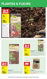 Offre Terreau dans le catalogue Carrefour du moment à la page 67
