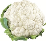 Blumenkohl bei EDEKA im Eichenau Prospekt für 1,49 €