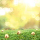 Aktuelles Schmunzelhase Angebot bei EDEKA in Hamburg ab 1,11 €