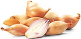 Bio Schalotten Angebote von REWE bei REWE Germering für 1,29 €