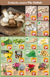 Ähnliche Weißkraut Angebote im Prospekt "Dein Markt" von REWE Ähnliches Angebot bei REWE in Prospekt "Dein Markt" gefunden auf Seite 7