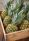 Promo Ananas à 1,59 € dans le catalogue Intermarché Contact à Castelnau-Magnoac