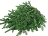 Aktuelles Nordmanntanne Angebot bei Wreesmann in Dresden ab 9,99 €