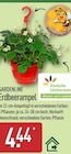 Gardenline Erdbeerampel im Angebot bei ALDI Nord in Erfurt Gardenline Erdbeerampel Angebote von Deutsche Gärtnerware bei ALDI Nord Erfurt für 444,00 €