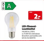 LED-Filament-Leuchtmittel bei Hagebaumarkt im Rendsburg Prospekt für 2,00 €