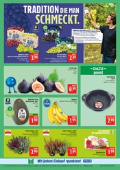 Aktueller Marktkauf Prospekt mit Pflanzen, "AUSWAHL RIESIG, PREISE NIEDRIG", Seite 8
