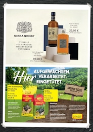 Hamberger Single Malt Whisky im Prospekt 