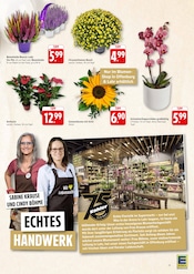 Chrysanthèmes Angebote im Prospekt "EDEKA" von E center Chrysanthèmes Angebote im Prospekt "EDEKA" von E center auf Seite 15