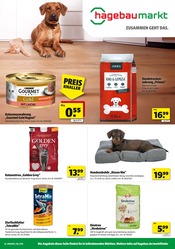 Aktueller Hagebaumarkt Prospekt mit Hundefutter, "So günstig geht das!", Seite 11