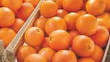 Orange à jus en promo chez Netto Orange à jus dans le catalogue Netto