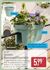 Geländer-Blumentopf von Belavi für 5,99 € bei ALDI Nord im Angebot Geländer-Blumentopf von Belavi im aktuellen ALDI Nord Prospekt