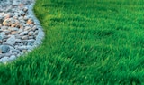 Aktuelle Pflanzen Angebote bei Netto Marken-Discount in Hannover Aktuelles Gartenkalk Angebot bei Netto Marken-Discount in Hannover ab 2,99 €