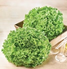 Salade Batavia - Super U Salade Batavia à 0,89 € dans le catalogue Super U