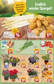 Dekoration im REWE Prospekt in Fürth Aktueller REWE Prospekt mit Dekoration, "Dein Markt", Seite 7