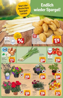 Geranien im REWE Prospekt "Dein Markt" mit 32 Seiten (Fürth)