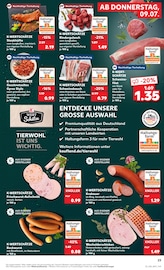 Schweinebauch im Kaufland Prospekt in Würzburg Aktueller Kaufland Prospekt mit Schweinebauch, "Hier bin ich richtig", Seite 23
