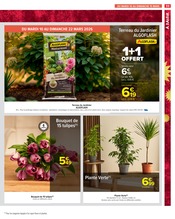 Jardinière Angebote im Prospekt "LE MOIS VIP, VERY IMPORTANT PROMOS*" von Carrefour Market auf Seite 61