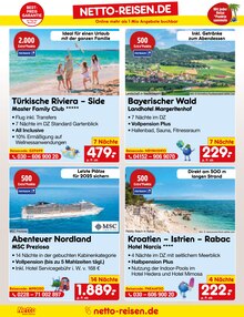 Pflanzen im Netto Marken-Discount Prospekt "Aktuelle Angebote" mit 61 Seiten (Freiburg (Breisgau))