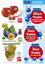 Blumen im EDEKA Prospekt in Mannheim Aktueller EDEKA Prospekt mit Blumen, "Aktuelle Angebote", Seite 5