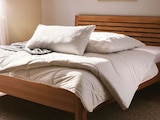 Aktuelle Bettdecke Angebote bei XXXLutz in Augsburg Aktuelles Ganzjahresbett Angebot bei XXXLutz in Augsburg ab 19,99 €
