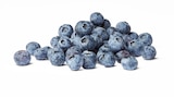 Bio-Heidelbeeren von Naturgut im aktuellen Penny Prospekt