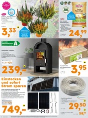 Garten im Globus-Baumarkt Prospekt in Marl Aktueller Globus-Baumarkt Prospekt mit Garten, "Immer eine Idee besser", Seite 2