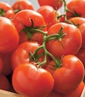 Promo TOMATE RONDE EN GRAPPE à 1,69 € dans le catalogue Intermarché à Chauvoncourt